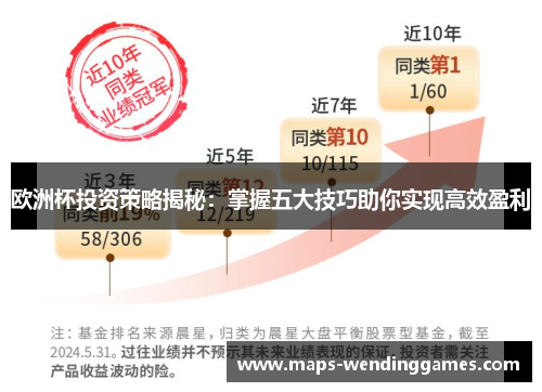 欧洲杯投资策略揭秘：掌握五大技巧助你实现高效盈利