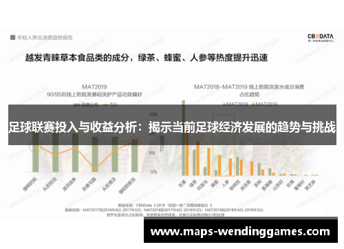 足球联赛投入与收益分析：揭示当前足球经济发展的趋势与挑战