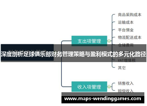 深度剖析足球俱乐部财务管理策略与盈利模式的多元化路径