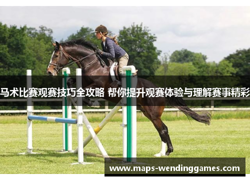 马术比赛观赛技巧全攻略 帮你提升观赛体验与理解赛事精彩